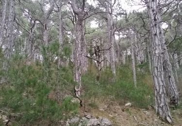 Randonnée Marche Saint-Guilhem-le-Désert - Roc de la Vigne - Pousterle - Infernet - Photo