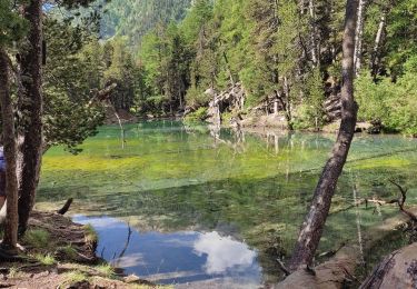 Trail Walking Névache - il lago verde - Photo