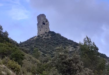 Excursión Senderismo Gémenos - Roque Forcade - Photo