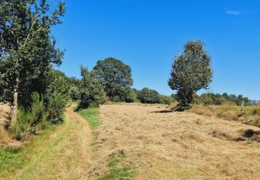 Excursión Senderismo Houffalize - GrWandArd 46 Buret het kanaal van Bernistappe (PVDB) - Photo