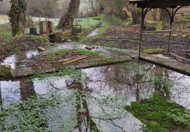 Trail Walking Valorbiquet - Aux alentours de St Cyr du Ronceray  - Photo