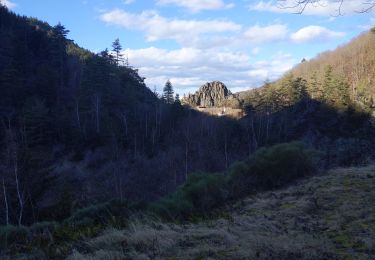 Trail Walking Saint-Étienne - Autour des 2 barrages de rochetaillee  - Photo