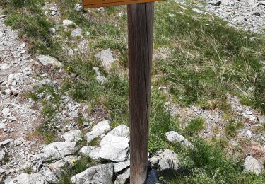 Tocht Stappen La Chapelle-en-Valgaudémar - col et lacs de petarel etcol de laberanne - Photo