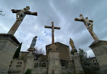 Randonnée Marche Rochefort-du-Gard - Rochefort du Gard - Photo