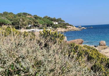 Randonnée Marche Ramatuelle - l'Escalet Cap Taillat - Photo