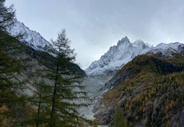 Trail Walking Chamonix-Mont-Blanc - Point de vue Chapeau  - Photo