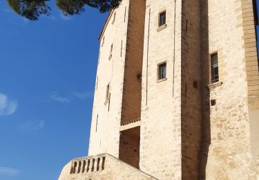 Randonnée Marche Meyrargues - Meyrargues : boucle du Jalaï - Photo