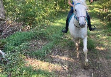 Tocht sport Domèvre-sur-Vezouze - Equiplaine 21 septembre 24 cavaliers  - Photo