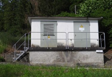 Tocht Te voet Ziegenrück - Wanderweg blaues Kreuz - Photo