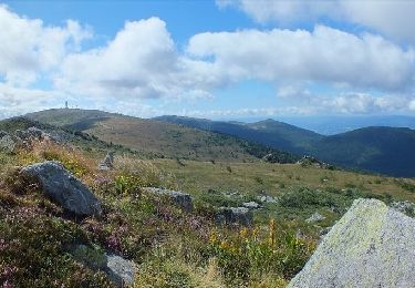 Randonnée Marche Vollore-Montagne - Vollore_Lit_Vierge - Photo