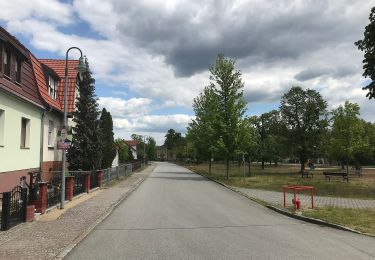 Tocht Te voet Halbe - Rundwanderweg Briesen-Staackmühle - Photo