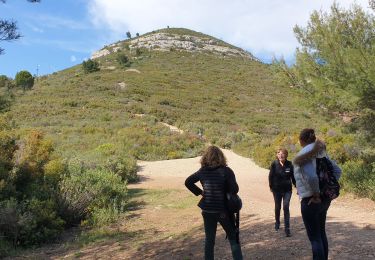 Tour Wandern Marseille - Collines de Pagnol  - Photo