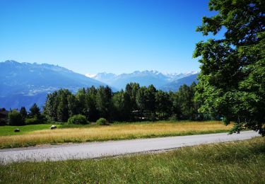 Tocht Noords wandelen Arbaz - 08.07.20 les étangs - Photo