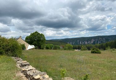 Tour Wandern Saint-Pierre-des-Tripiers - 21 06 07 Les corniches de la Jonte et du Tarn - Photo