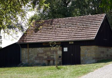 Percorso A piedi Backnang - Wanderweg Waldrems 3 - Photo