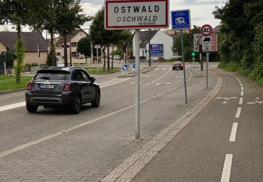 Tocht Elektrische fiets Ostwald - Sans pluie  - Photo