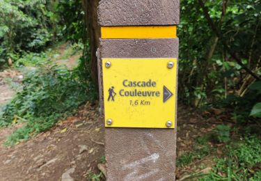 Trail Walking Le Prêcheur - Cascade de l'anse Couleuvre, depuis anse Céron en aller-retour ! - Photo