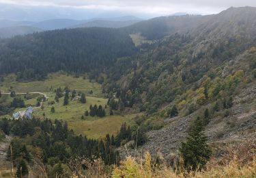 Tour Wandern Sulzern - Soultzeren 4 lacs blanc vert noir truites 17kms 722m  - Photo