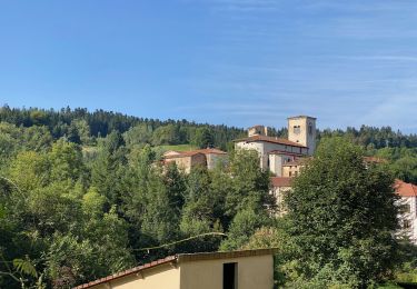 Tour Wandern Auzelles - La croix de Pradier, Auzelles - Photo