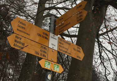 Randonnée A pied Horw - Seeben - Kastanienbaum - Photo