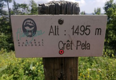 Randonnée Marche Lamoura - Le Crêt Pela - Photo