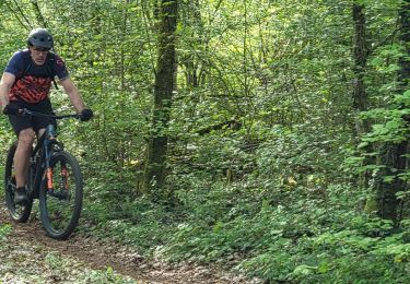Trail Electric bike Ludres - sortie vtt évasion ludres - Photo