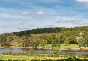 Tour Wandern Moutiers-au-Perche - SityTrail - Le Gué de Culoiseau Moutiers-au-Perche 6,6 Km - Photo