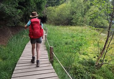 Trail Walking Olby - J3 : Olby - lac de Servières - Photo