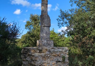 Tocht Stappen Vallabrix - Vallabrix et le site de Massargues  - Photo