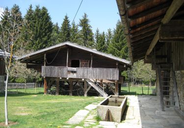 Tocht Te voet Mauth - Waldschaf · Šumavská ovce - Photo