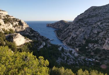 Tour Wandern Marseille - Rando tour de la Candelle-Sugiton-Sofmiou - Photo