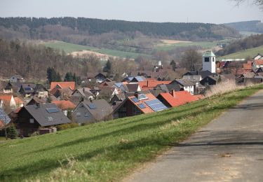 Percorso A piedi Höxter - Rund um Ovenhausen II - Photo