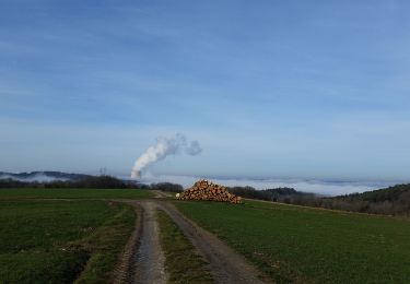 Percorso A piedi  - Landshuter Höhenwanderweg - Photo