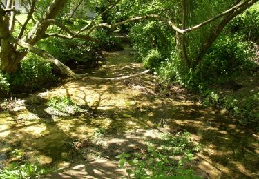 Tour Zu Fuß Halle (Westf.) - Haller Rundweg A6 - Photo