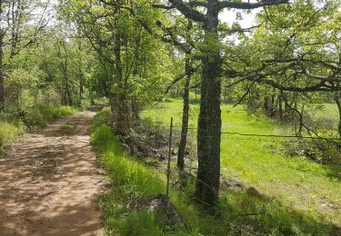 Tour Wandern Courmes - ST BARNABE - Photo