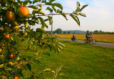 Tocht Mountainbike Herve - Wandeling : Herve : Balade des pommiers au pays des vergers (32,2 km) - Photo