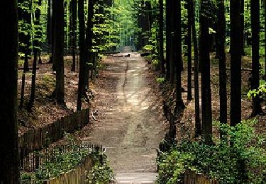 Trail On foot Flobecq - Dans le Brakelbos - Photo