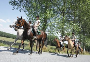 Tocht Paard Pecq - Ruiter- & menroute van Pecq en Mont-Saint-Aubert - Photo