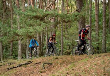 Percorso Mountainbike Belœil - Forest circuit of Beloeil - Photo