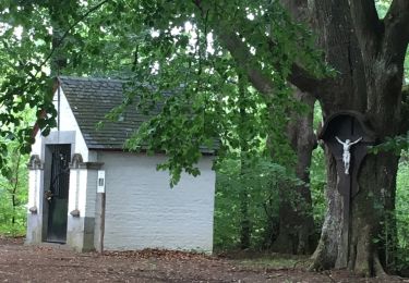 Tocht Te voet Ferrières - Rondom Kruizen en Kapellen - Photo