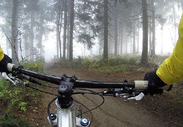 Trail Mountain bike Ciney - Balade du Fond de Pique - Photo
