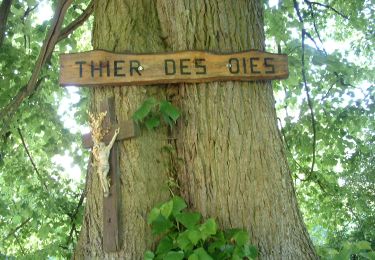 Randonnée A pied Thimister-Clermont - Thimister : Balade de la Bettefontaine à la Bèfve - Photo