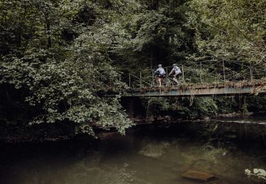 Trail Mountain bike Philippeville - Boucle de l'Hermeton - Photo