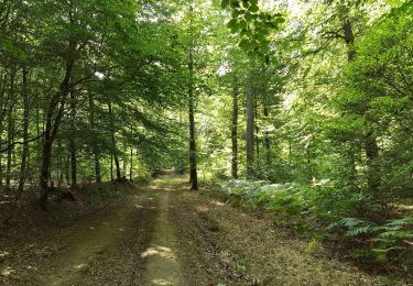 Trail On foot Bièvre - Les Maurzies - Photo