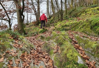 Trail On foot Vresse-sur-Semois - La roche à Saloru - Photo