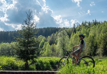 Excursión Bici de montaña Gouvy - Gouvy-Steinbach-Montleban-Gouvy - Photo