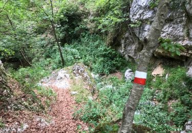 Tour Wandern Pescasseroli - monte valle caprara 15 km - Photo