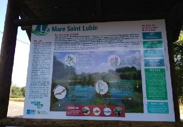 Trail Walking Louviers - Louviers Saint Lubin - Photo
