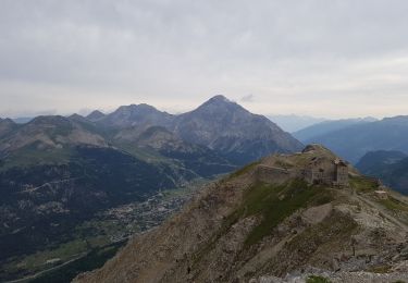 Excursión Senderismo Montgenèvre - le sommet de Château Jouan et le fort de Janus - Photo