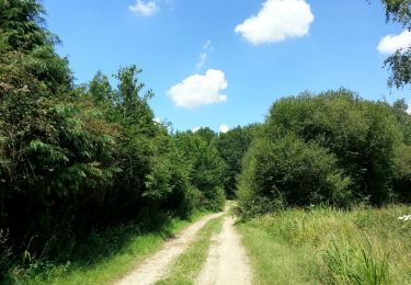 Trail Walking Monthodon - Monthodon - et Le Sentier - 26.7km 230m 6h00 - 2018 07 15 - public - Photo
